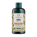 THE BODY SHOP Ginger Anti-Dandruff Shampoo 250ml #Size_250ml